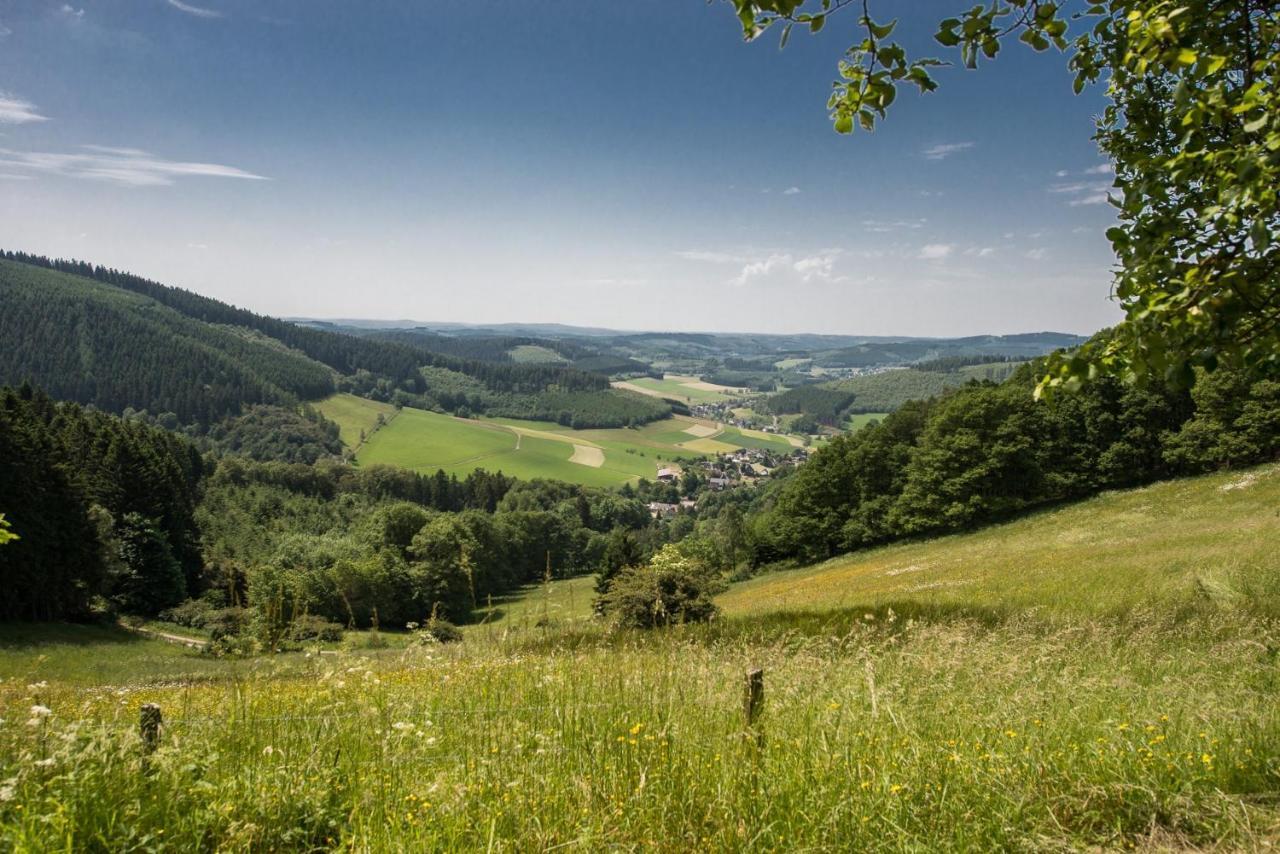 Wohnung Mit Talblick, Ladestation E-Auto Зиген Экстерьер фото